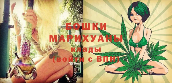 альфа пвп Медвежьегорск