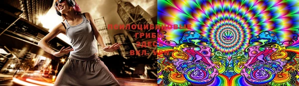 a pvp Магас
