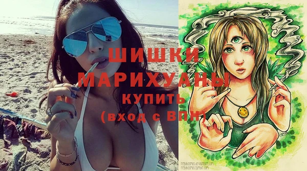 альфа пвп Медвежьегорск